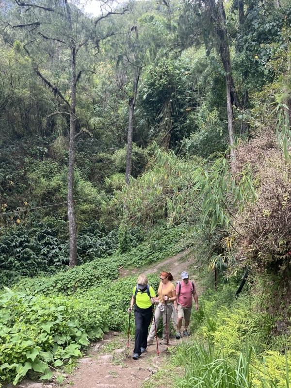 Début de l’île intense (Réunion)