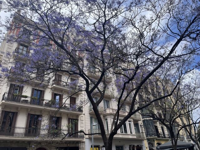 Un long weekend à Barcelone