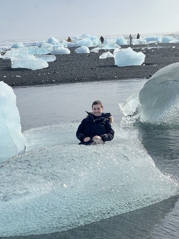 Un phoque échoué à Diamond beach