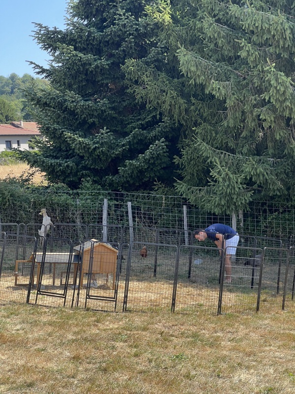 Avec les animaux