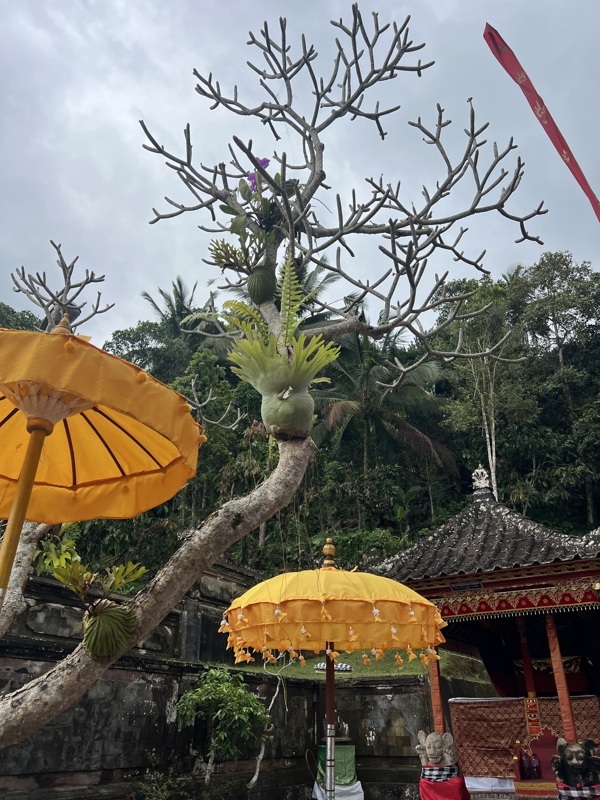 Temple kehen