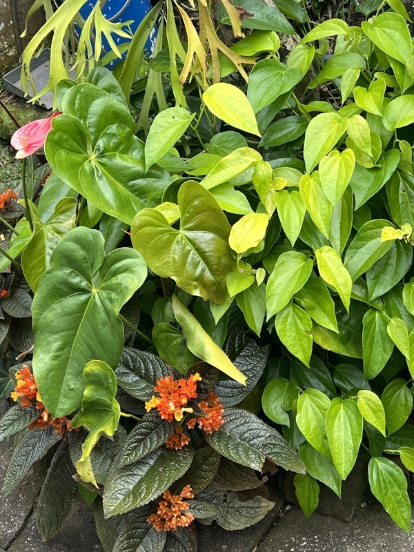 Plus beau village de Bali