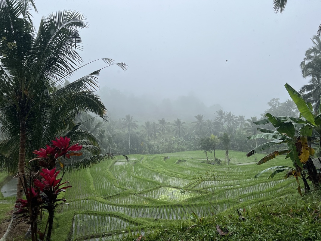 Vers le nord de Bali