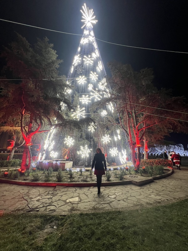 Sapin de Zahle