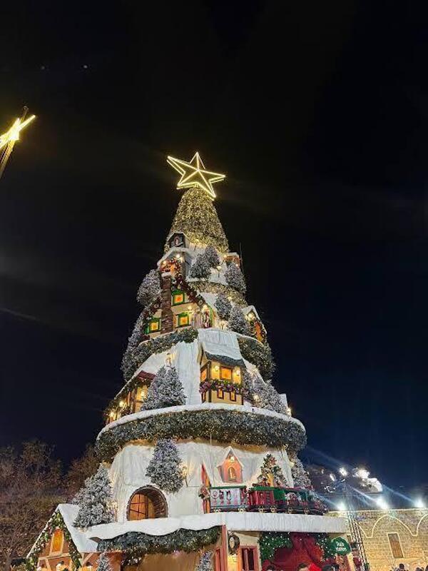 Sapin de Batroun