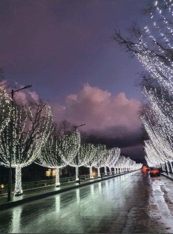 Les champs Elysée de Zahle