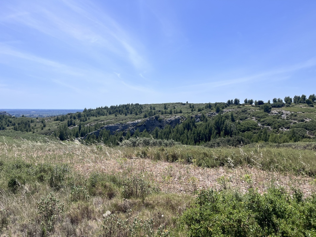 Les Alpilles