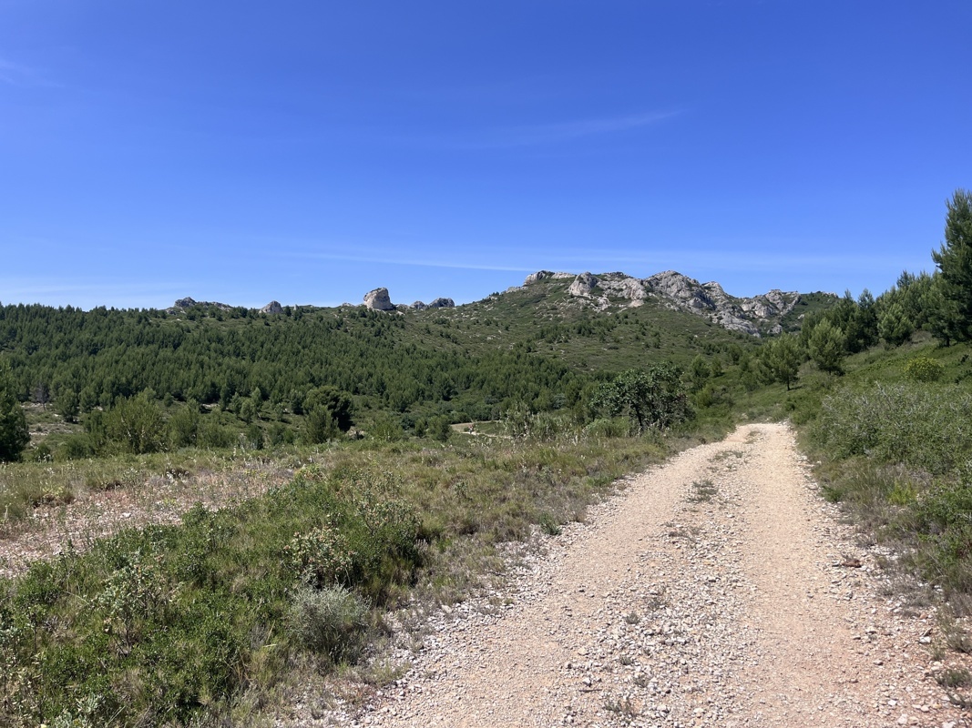 Les Alpilles