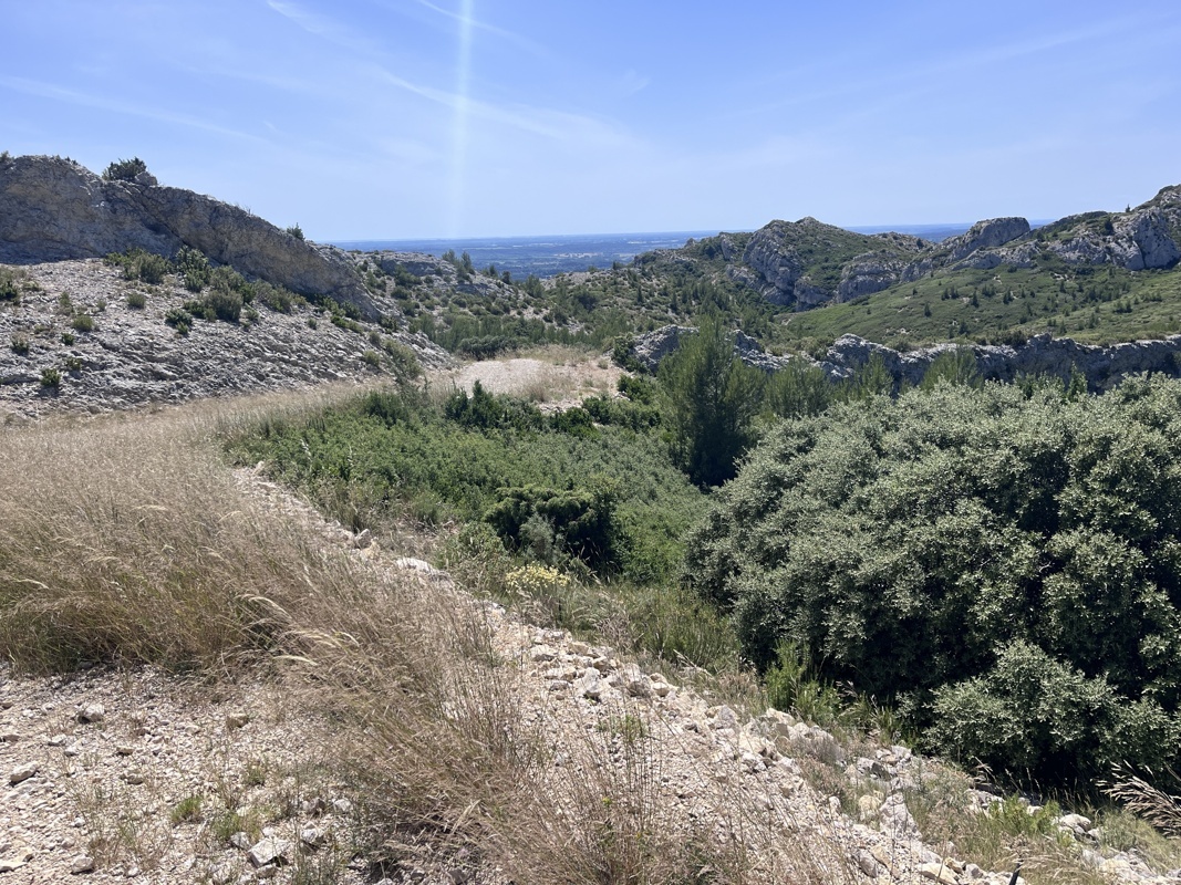Les Alpilles