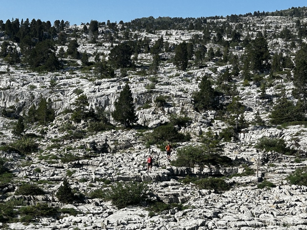 Les lapiaz