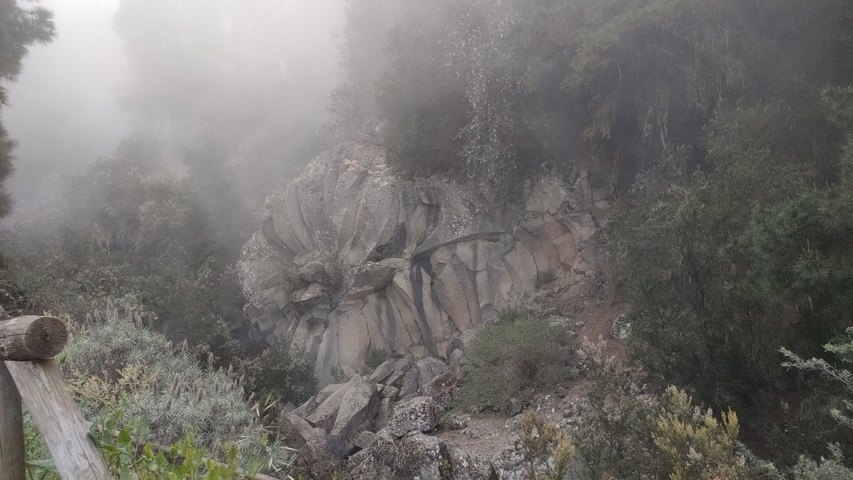 Dans la brume