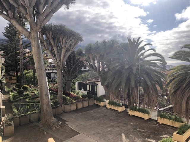 Puerto de la Cruz