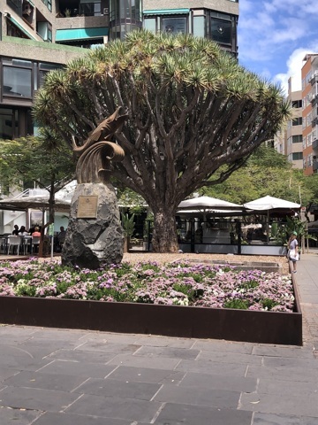 Santa Cruz de Tenerife