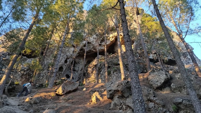 Parc de Roque Nublo