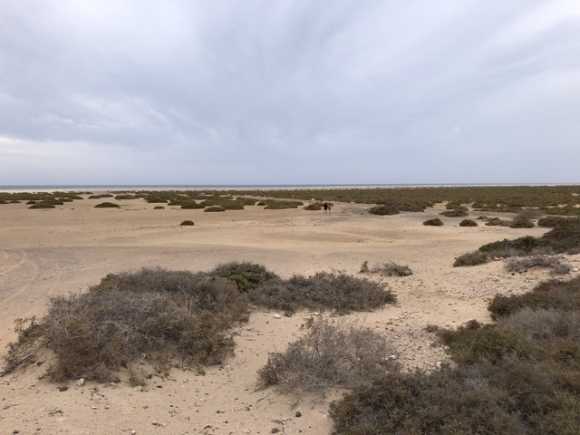 Playa de Sotavento