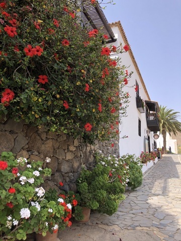 Betancuria