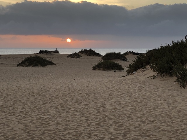 Dunes de Corralejo