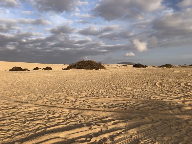 Dunes de Corralejo