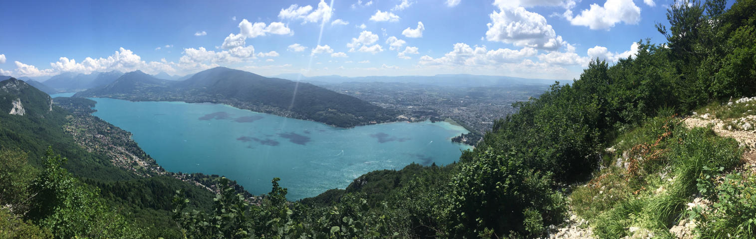 Panorama