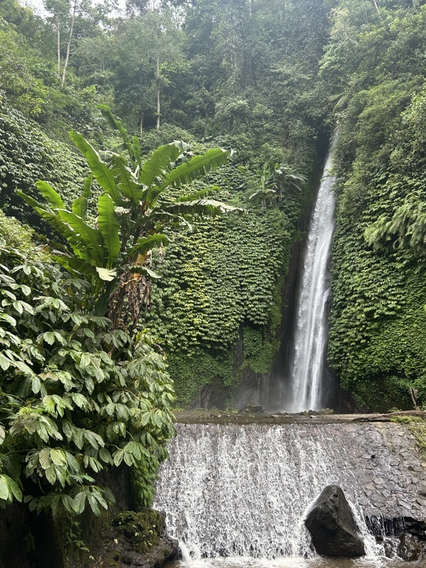 Red coral waterfall