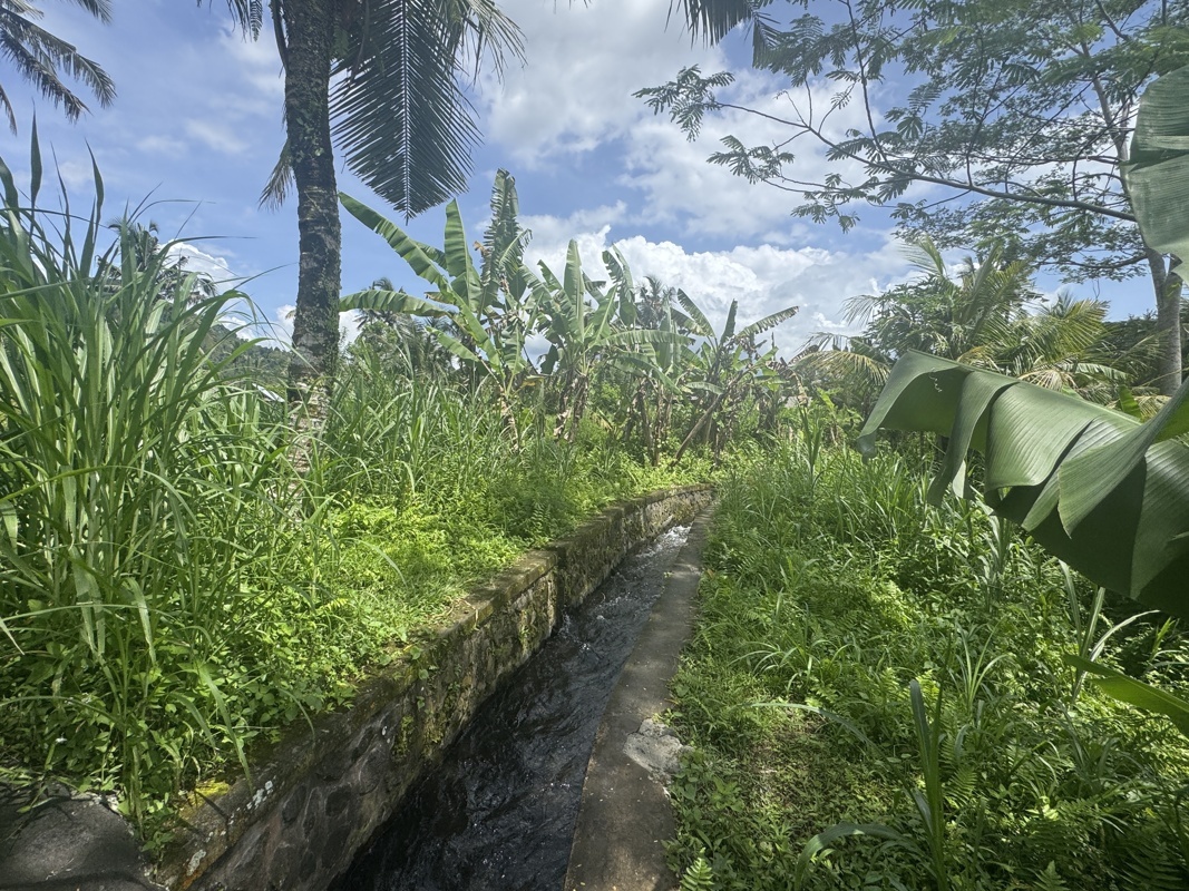 Le chemin dans les rizières était très longtemps le long de l’eau