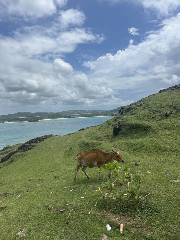 Kuta Lombok