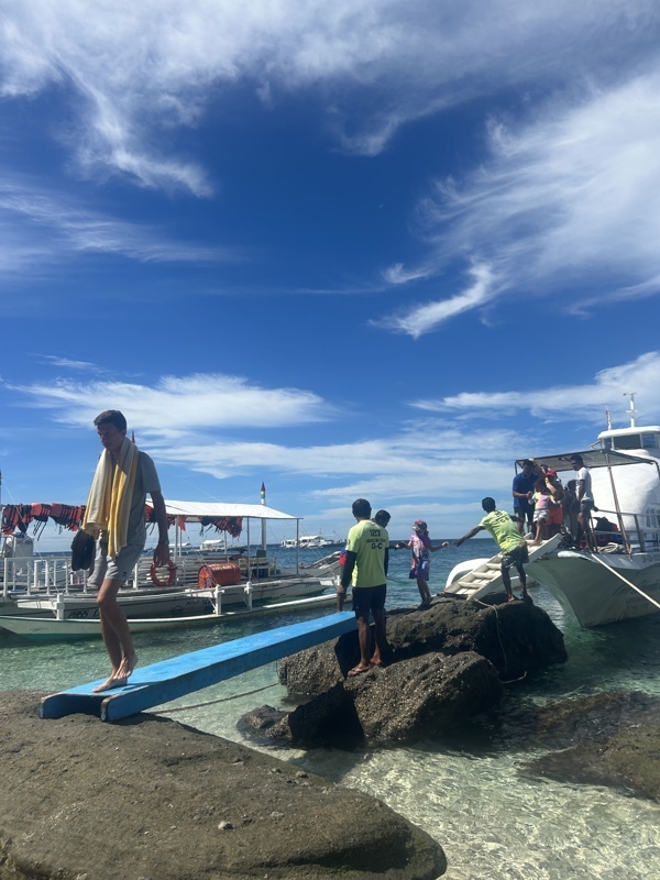 Sortie bateau pour voir les tortues