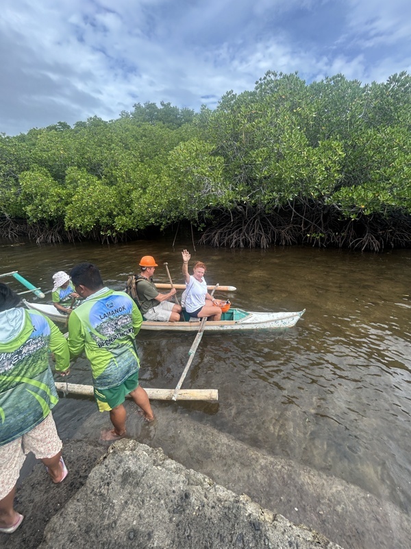 Dans les mangroves