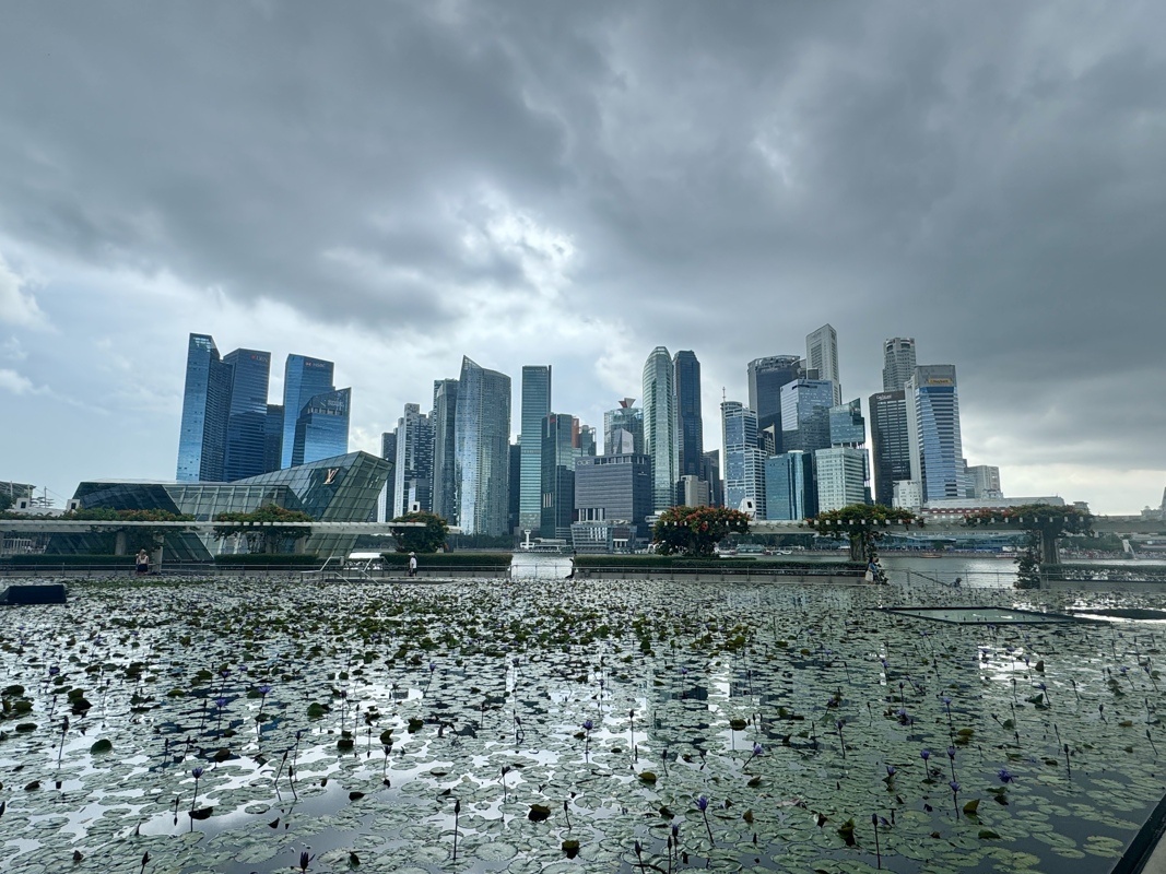 Depuis Marina Bay