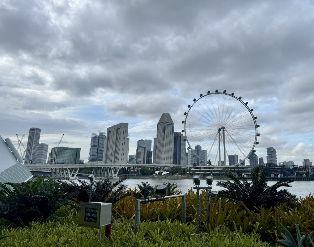 Vue depuis le parc Garden by the Bay