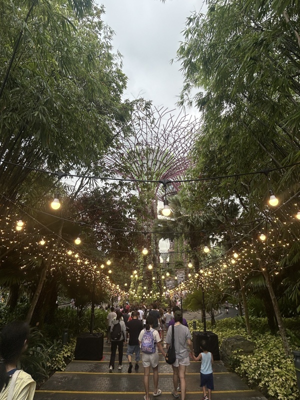 Supertree Grove