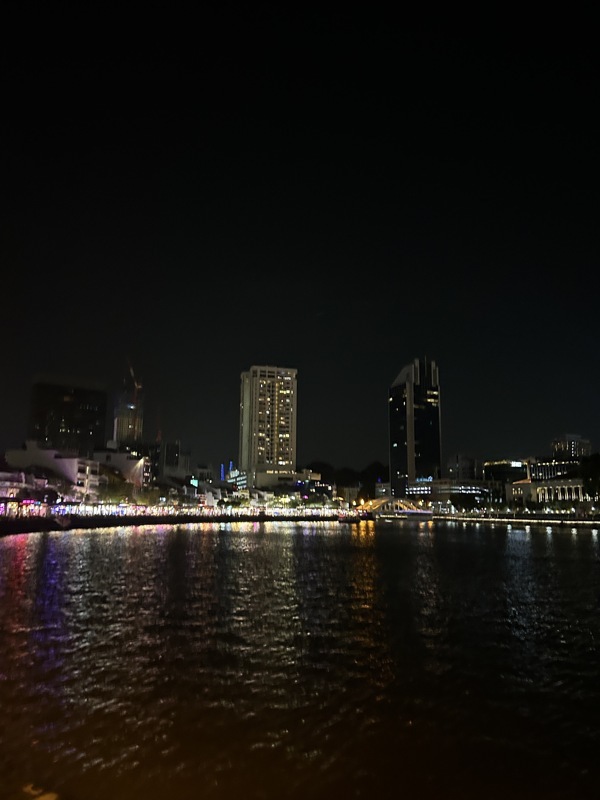 À gauche on voit mal mais toutes les lumières se sont les restaurants des quais