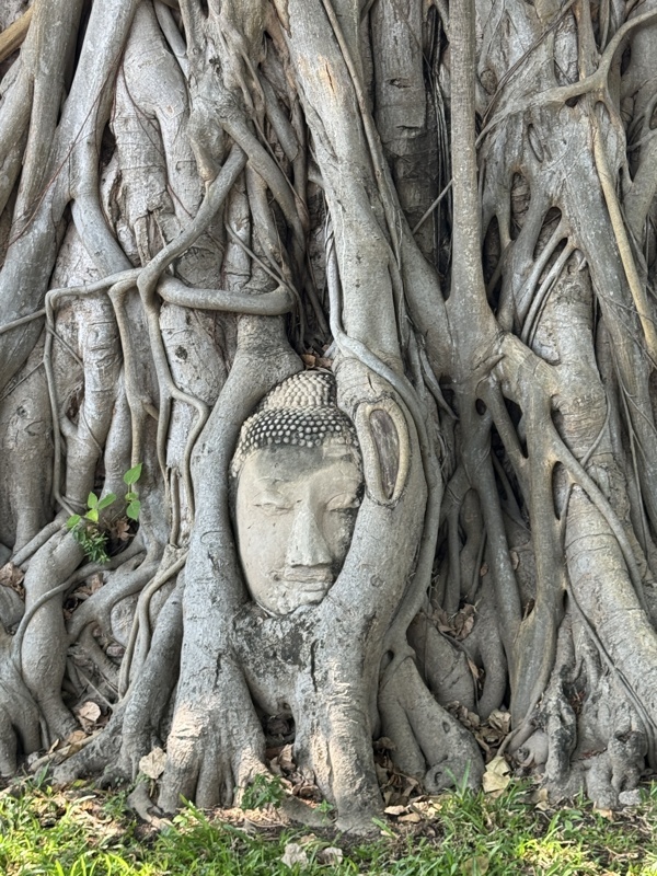 À la découverte d’Ayutthaya, entre ruines et histoire