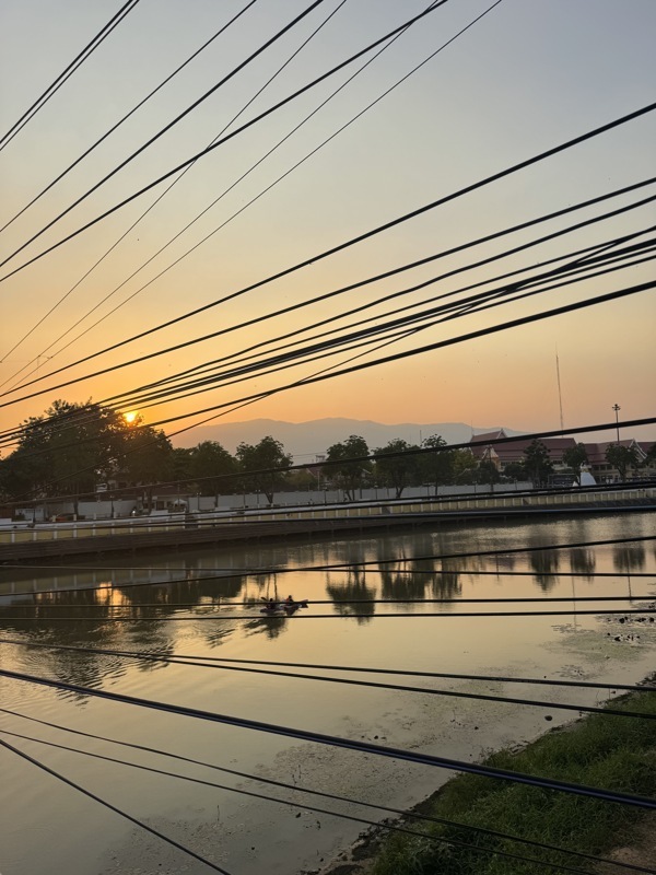 Dommage tous les câbles devant le coucher de soleil