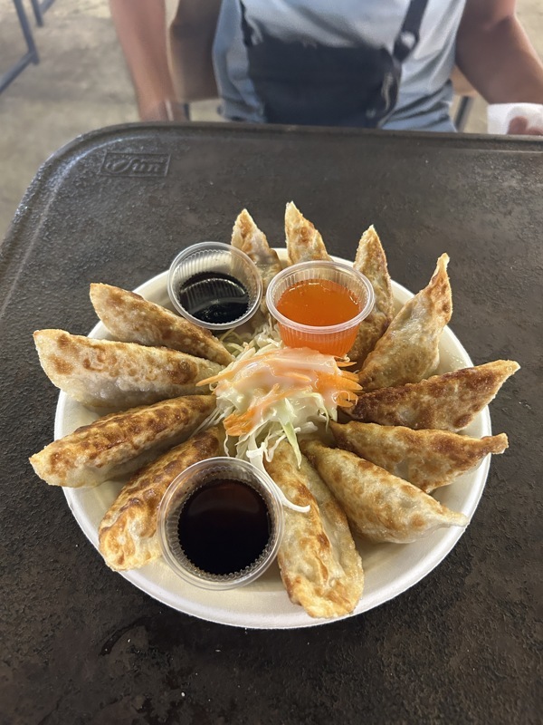 Les meilleurs qu’on ait jamais mangés, dans notre night market favori. 2,60€ les 2 gyozas