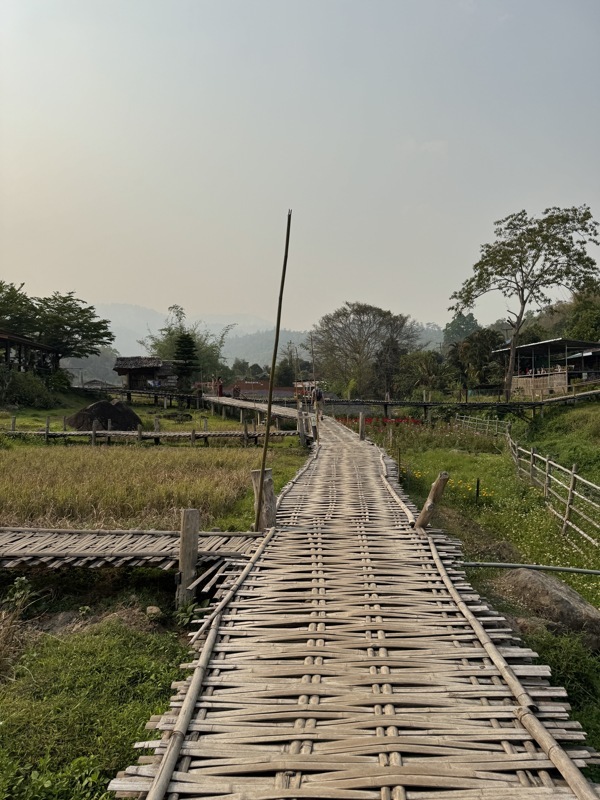 Bamboo bridge