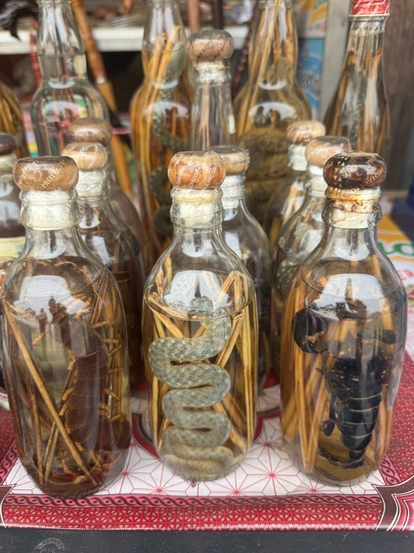 Alcool de serpent et autres insectes