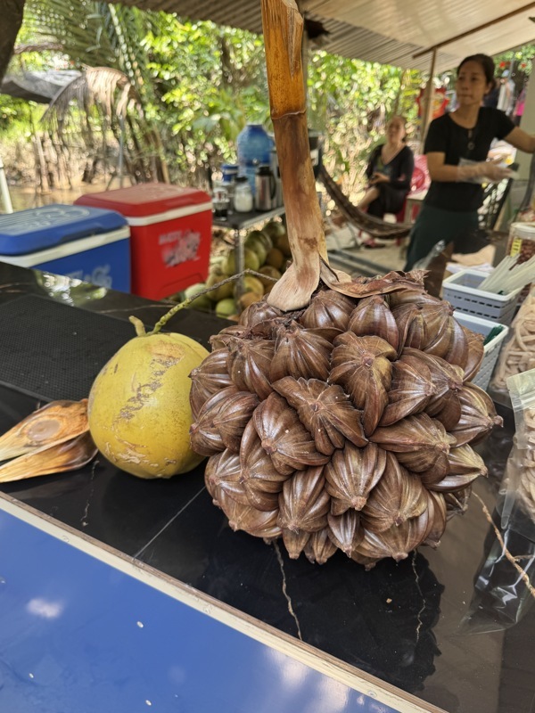 Noix de coco d’eau