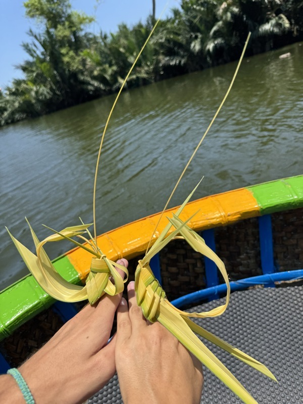 Sauterelles