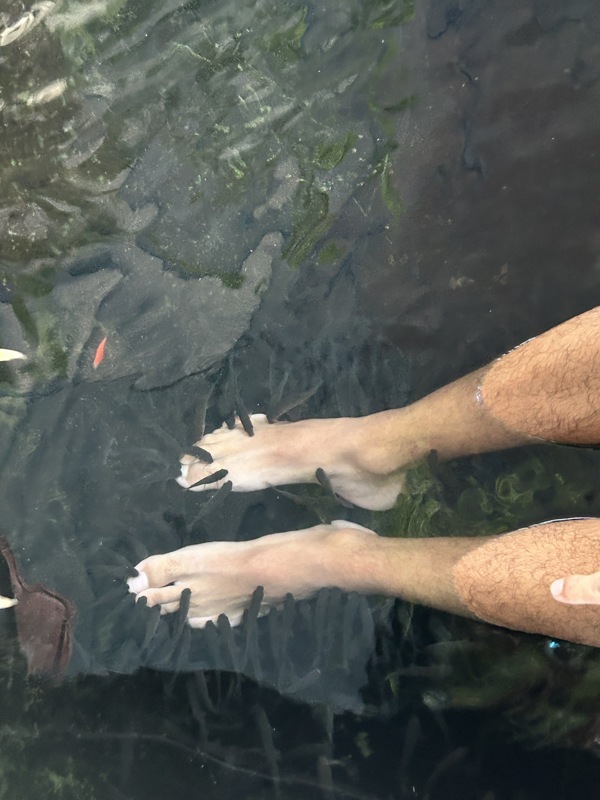Et les poissons l’apprécient
