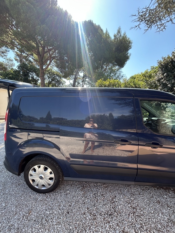 Notre nouveau compagnon 