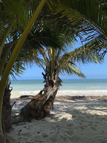Playa del Carmen - Sian Ka’an