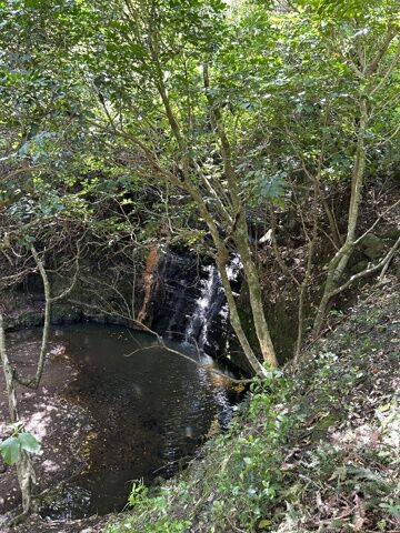 Petite cascade