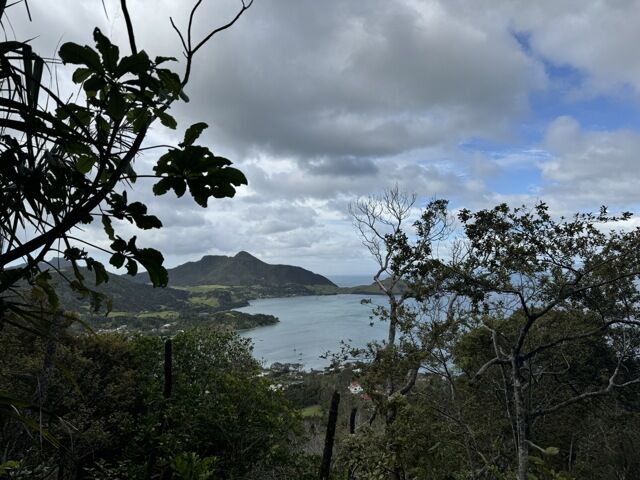 Sentier pour le mount Manaia