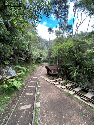 Chemin des gorges de Karangahake