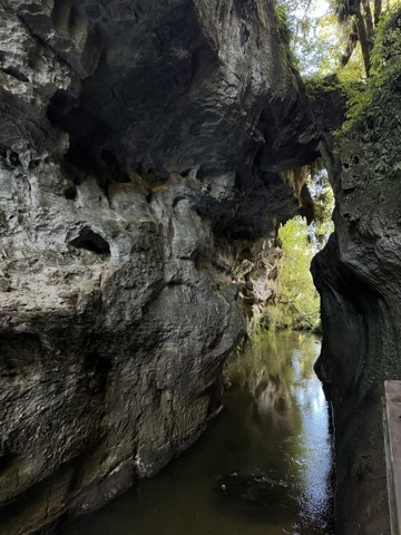 Mangapohue Natural Bridge
