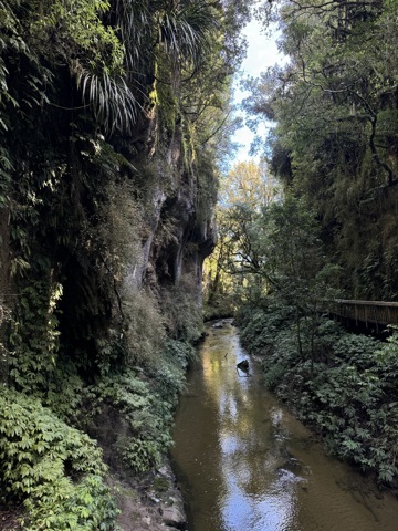 Mangapohue Natural Bridge