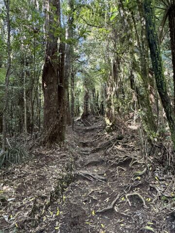 Sentier pour le mont Ruapane