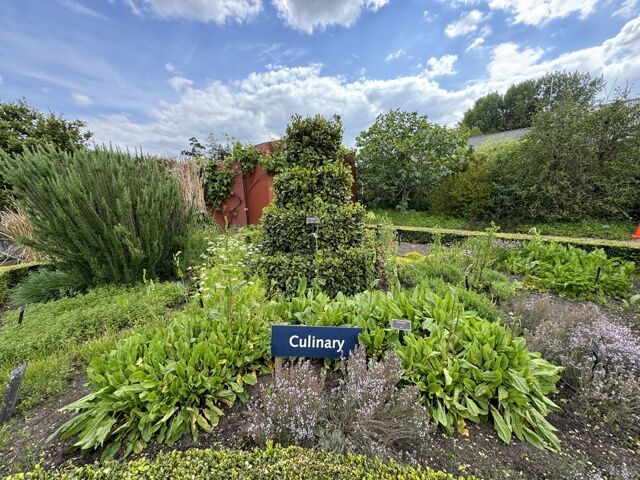 Jardin des herbes