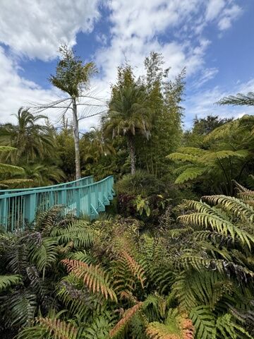 Jardin Tropical
